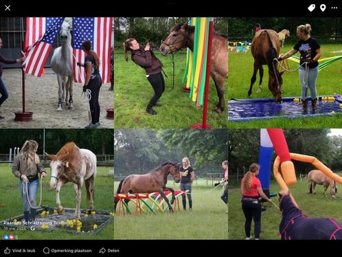 Te koop compleet schriktraining parcour, Dieren en Toebehoren, Paarden en Pony's | Overige Paardenspullen, Ophalen