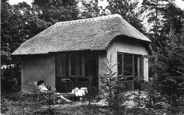 (377-236-027) Doorn Het Grote Bos beschikbaar voor biedingen