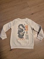 Trui maat 140, Ophalen of Verzenden, Gebruikt, Jongen, Trui of Vest