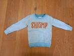 Trui van The future is ours maat 104, Kinderen en Baby's, Kinderkleding | Maat 104, Gebruikt, Trui of Vest, Jongen, The future is ours