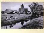 Nieuw-Helvoet Ned.Herv.Kerk  Koeien 1965, Verzamelen, Ophalen of Verzenden, 1960 tot 1980, Gelopen, Zuid-Holland