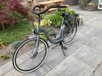 BSP seine moederfiets, Fietsen en Brommers, Fietsen | Dames | Moederfietsen, 2 zitjes, Dubbele standaard, Ophalen, Overige merken