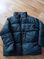 Zwarte winterjas, Kleding | Dames, Ophalen, Zo goed als nieuw, Maat 46/48 (XL) of groter, Zwart