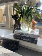 Mooie main coon  x siberische boskat kittens, Meerdere dieren, Ontwormd