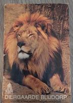 Diergaarde Blijdorp Boekje, Ophalen of Verzenden, Gelezen, Onbekend, Catalogus