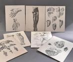 Oude anatomie prenten achter glas vintage, Natuur, Gebruikt, Ophalen of Verzenden, Voor 1940