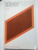 De Kleine Profeten - Ds. P. Lok, Boeken, Ophalen of Verzenden, Gelezen, Ds. P. Lok, Christendom | Protestants