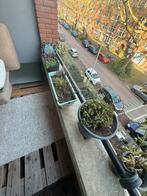 Balkon plantenbakken / balkonbakken, Ophalen, Kunststof, Gebruikt, Balkon