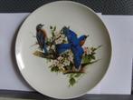 Decoratieve vogel bordjes, Ophalen of Verzenden, Nieuw