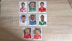 Panini voetbalplaatjes, Verzenden, Zo goed als nieuw, Buitenlandse clubs, Poster, Plaatje of Sticker