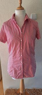 Origineel Tommy Hilfiger getailleerde dames blouse, mt 40, Ophalen of Verzenden, Zo goed als nieuw, Maat 38/40 (M), Rood