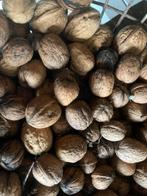 Vers gedroogde walnoten, Ophalen of Verzenden