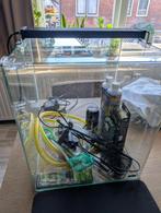 Dennerle Nano Cube 60L (leeg) met toebehoren, Dieren en Toebehoren, Vissen | Aquaria en Toebehoren, Ophalen, Zo goed als nieuw