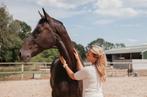 Paardencoach locatie gezocht in Hengelo (Overijssel), Diensten en Vakmensen, Dieren | Paarden | Verzorging, Oppas en Les