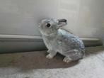Kleurdwerg chinchilla, Dieren en Toebehoren, Vrouwelijk, Dwerg, 0 tot 2 jaar
