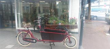 Géén patserbak of badkuip? Daarom kiezen wij voor Cargobike beschikbaar voor biedingen
