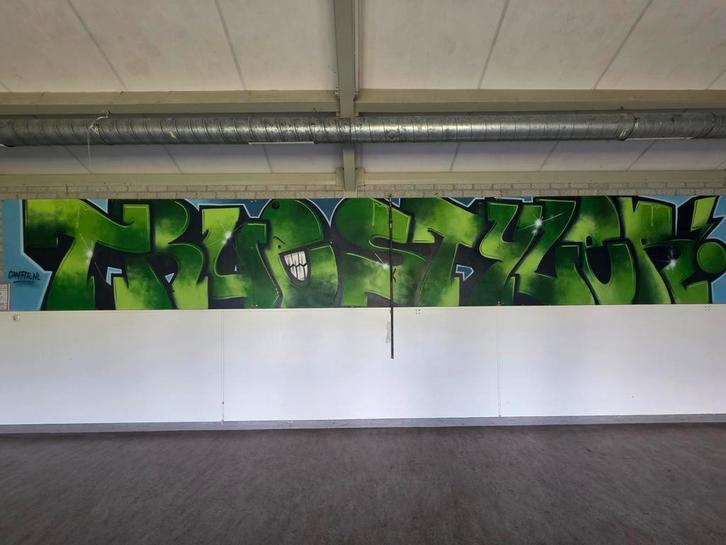 Groot Graffiti Bord te Koop!, Antiek en Kunst, Kunst | Schilderijen | Klassiek, Ophalen