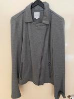 Vest en jas/vest, Kleding | Dames, Ophalen of Verzenden, Zo goed als nieuw, Maat 38/40 (M), Grijs
