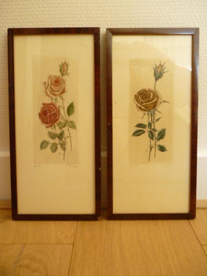 Vintage lithografie roos ingekleurd ondertekend E.T. Tiele, Antiek en Kunst, Kunst | Litho's en Zeefdrukken, Ophalen of Verzenden