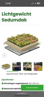Lichtgewicht sedum restant 3m2! Moet snel weg!, Ophalen of Verzenden, Overige soorten, Volle zon
