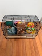 Hamster kooi, Kooi, Minder dan 75 cm, Hamster, Ophalen