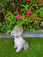 Prachtige Cairn Terriër beeld (Boomer) – Weerbestendig!, Ophalen, Beton, Dierenbeeld