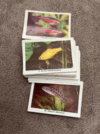 Rizla visplaatjes, Ophalen of Verzenden, Zo goed als nieuw