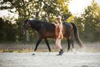 Lieve merrie voor grondwerk, coaching of weidemaatje, Dieren en Toebehoren, Paarden, Merrie, Niet van toepassing, 160 tot 165 cm