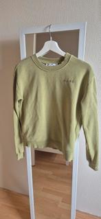 NA-KD Groene Sweater XS, Kleding | Dames, NA-KD, Ophalen of Verzenden, Zo goed als nieuw, Maat 34 (XS) of kleiner