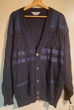 vintage heren vest van Dalmine Uomo, Ophalen of Verzenden, Zo goed als nieuw, Maat 52/54 (L), Blauw