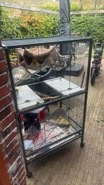 Knaagdieren of vogelkooi, Dieren en Toebehoren, Kooi, Gebruikt, Hamster, Ophalen of Verzenden