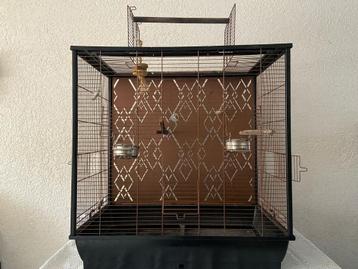 Vogelkooi beschikbaar voor biedingen