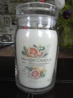 YANKEE CANDLE Geurkaars  "WHITE SPRUCE & GRAPEFRUIT"  L jar., Overige materialen, Wit, Nieuw, Ophalen of Verzenden