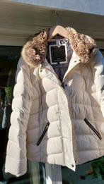 HV Polo creme winterjas-XL-met bontkraagje-winstoppers, Kleding | Dames, Ophalen of Verzenden, Zo goed als nieuw, Maat 38/40 (M)