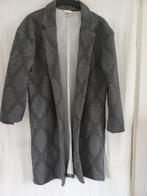 JASJE LANG MODEL, Ophalen of Verzenden, Zo goed als nieuw, Jasje, Grijs