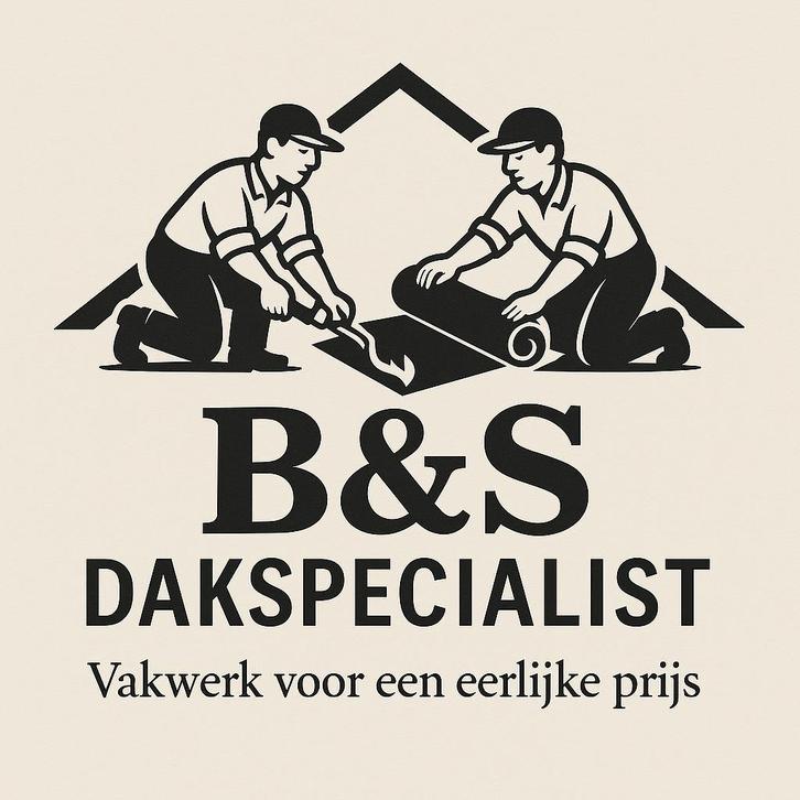 Gratis Dakinspectie | B&S Dakspecialist - Betrouwbaar & Snel, Diensten en Vakmensen, Dakdekkers en Rietdekkers, 24-uursservice