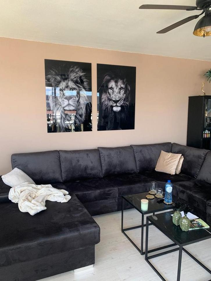 2 hele mooie glasschilderijen leeuwen 80x120cm, Antiek en Kunst, Kunst | Schilderijen | Abstract, Ophalen
