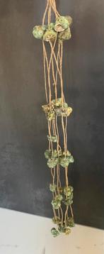 Hanger decoratie schelpen op touwtjes nieuw 80 cm, Ophalen of Verzenden, Nieuw