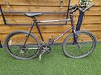 Mountain/crossbike Raleigh Kandara, Gebruikt, 57 cm of meer, Heren, Geen vering