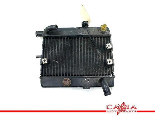 RADIATEUR YP 250 Majesty 2000-2003 (YP250) (71219TOYO), Motoren, Onderdelen | Yamaha, Gebruikt
