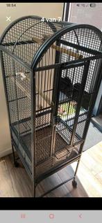Vogelkooi, Dieren en Toebehoren, Ophalen of Verzenden, Zo goed als nieuw, Kooi-accessoires
