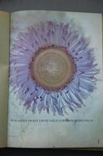 Grote geïllustreerde dierenatlas., Ophalen of Verzenden, Zo goed als nieuw, Overige diersoorten, Reader's-Digest in samenwerking met het Wereld Natuur Fonds