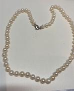 Parelketting met zilveren sluiting, Ophalen of Verzenden, Gebruikt, Wit, Zilver