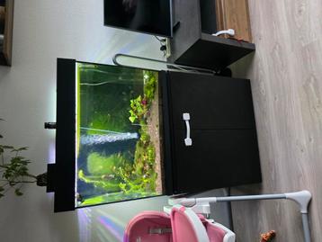 Aquarium 200L, compleet beschikbaar voor biedingen