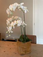 Kunst Orchidee - 80cm hoog, 45cm breed, Ophalen, Nieuw, Binnen