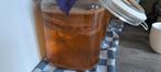 Kombucha scoby, Ophalen of Verzenden