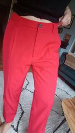 Lefties pantalon rood, Maat 38/40 (M), Ophalen of Verzenden, Zo goed als nieuw, Lang