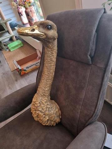 Imhoff & Stevens Levensgrote gouden Struisvogel kop beschikbaar voor biedingen