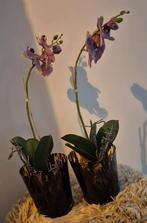 Orchideeën., Huis en Inrichting, Ophalen