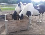 Slowfeeder Hooibak voor Paddock, Dieren en Toebehoren, Stalling en Weidegang, Weidegang